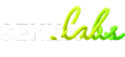 Sennalabs